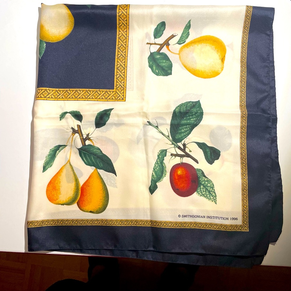 Smithsonian scarf